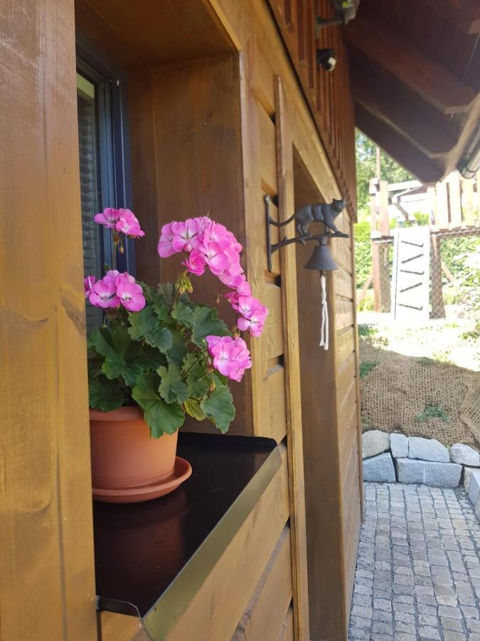 Roubenka Strmá Villa Jeseník Kültér fotó